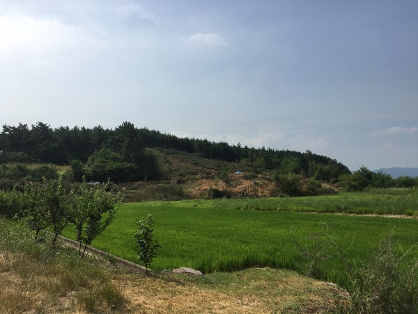 1c6034f75aec143db1dee9d4150d9a9f_1470359