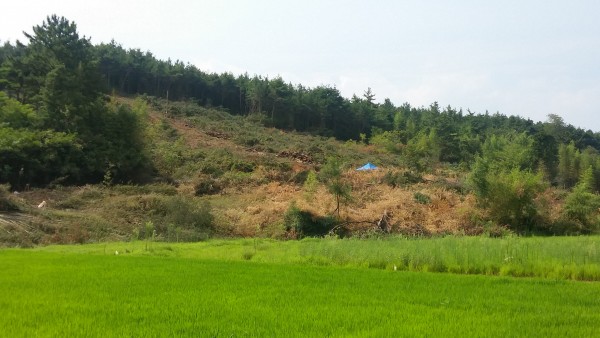 1c6034f75aec143db1dee9d4150d9a9f_1470360