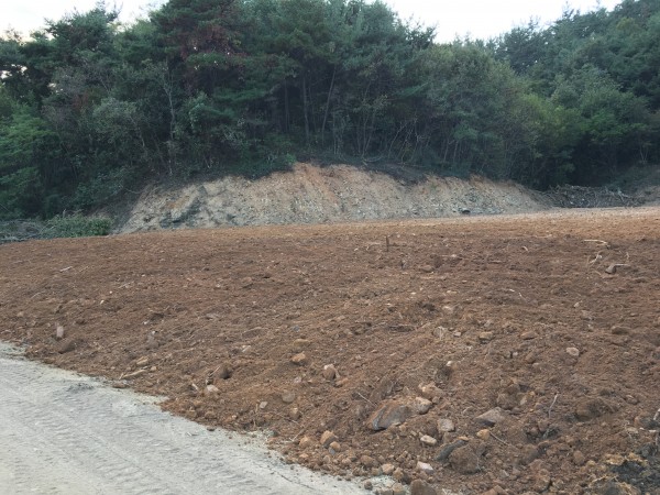 6b757999c594575d7802366bcb512ec8_1477298