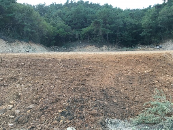 6b757999c594575d7802366bcb512ec8_1477298