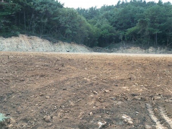 6b757999c594575d7802366bcb512ec8_1477298