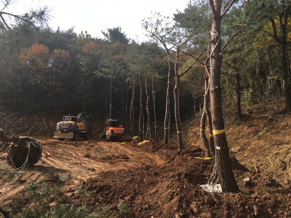 2e513202f5f6fcd054e1fad9e2017025_1479792