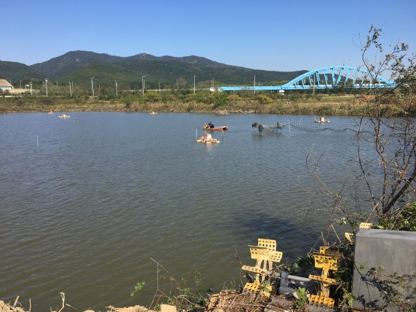 3c90b071a846356ec38dc44603ba795e_1478485