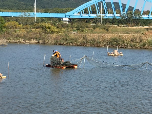 3c90b071a846356ec38dc44603ba795e_1478485