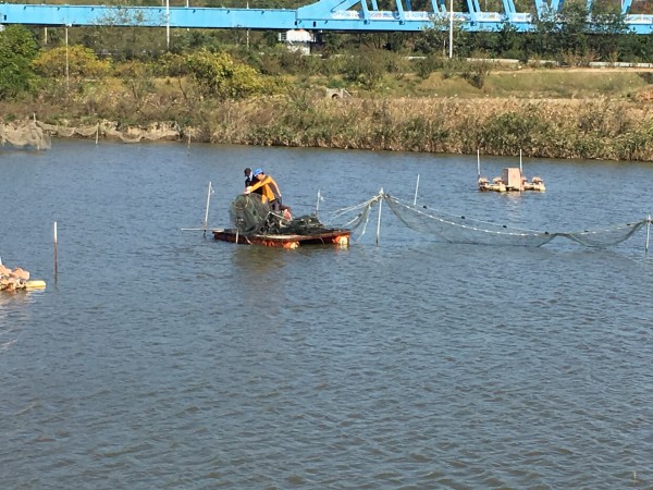 3c90b071a846356ec38dc44603ba795e_1478485